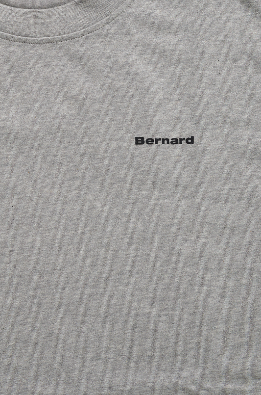 Camiseta Regular Small Logo - Gris Jaspe